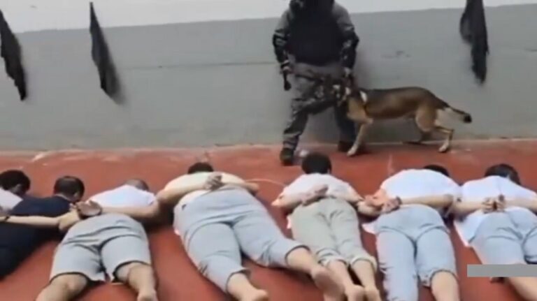 بالفيديو.. انتهاكات بحق الأسرى الفلسطينيين في سجن “مجدو”