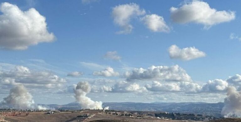 سلسلة من الغارات المعادية على مناطق حرجية