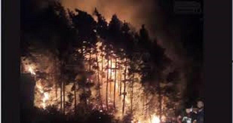 إنزال جوي على مصياف في سوريا؟