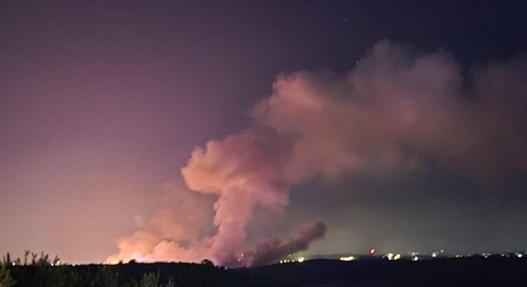 غارة على أنصار (فيديو – صور)