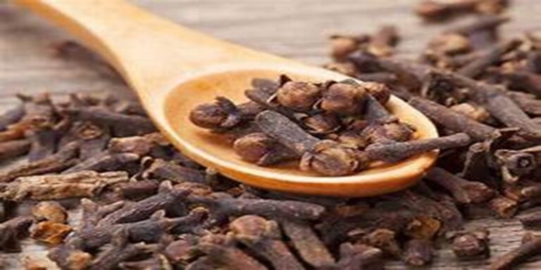 الفوائد الصحية للقرنفل