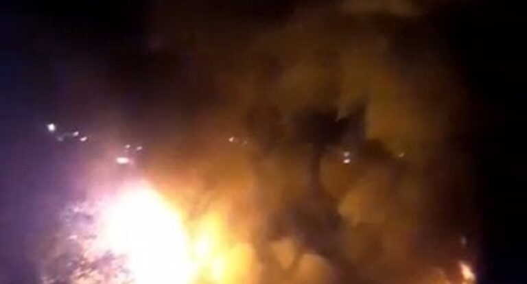 بالفيديو – حريق بمصنع للأخشاب في زغرتا