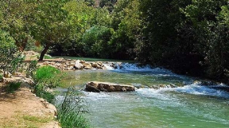 “مصلحة الليطاني”: البدء بأعمال تنظيف مجرى نهر الليطاني