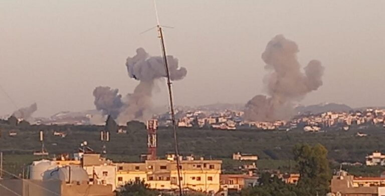 غارة على الحوش (فيديو)