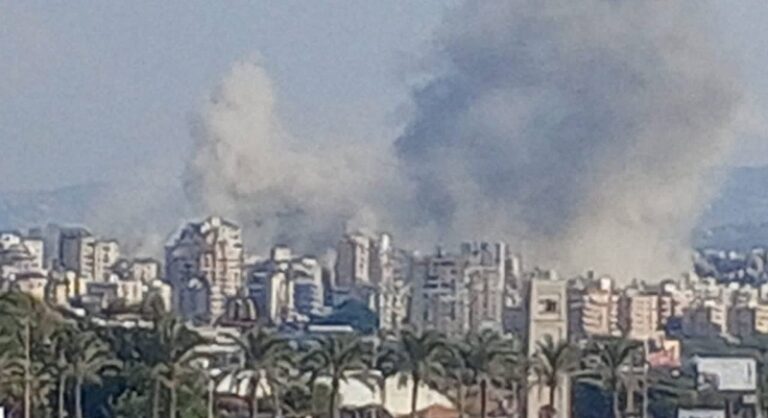 حزام ناري على حوش صور