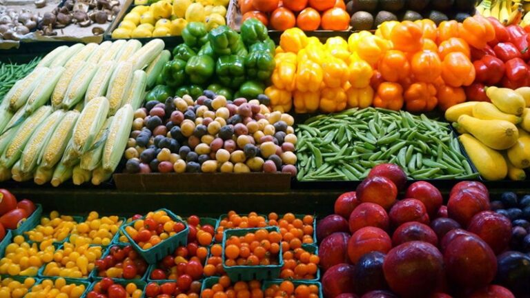 تأثير الأنظمة الغذائية النباتية على صحة الدماغ