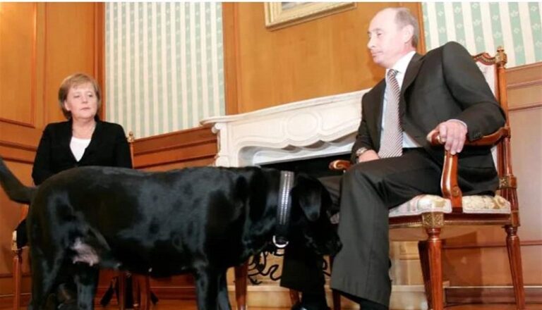 بوتين يعتذر لميركل: “سامحيني”