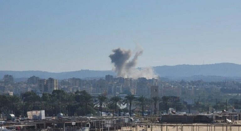 غارة على الحوش ـ صور (فيديو)