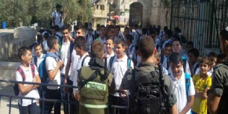 وقف الدراسة الأحد في عكا