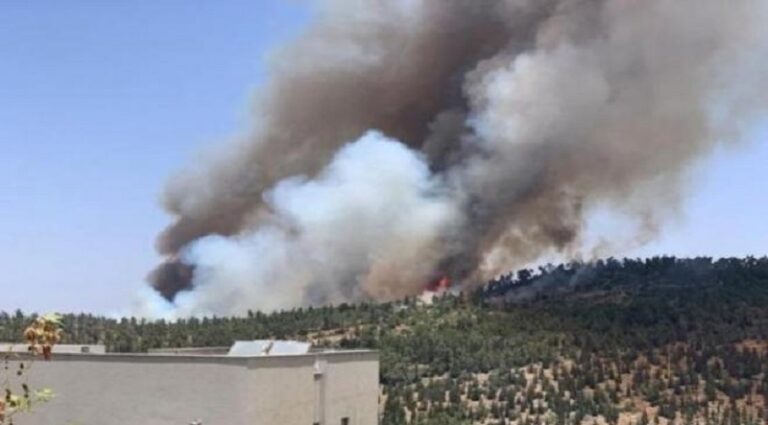 بالفيديو.. حرائق في بيت شيمش غرب القدس