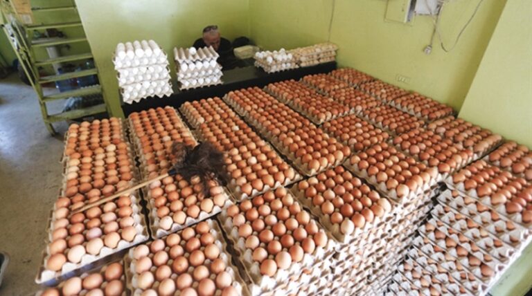 سعر البيض يتراجع 45%