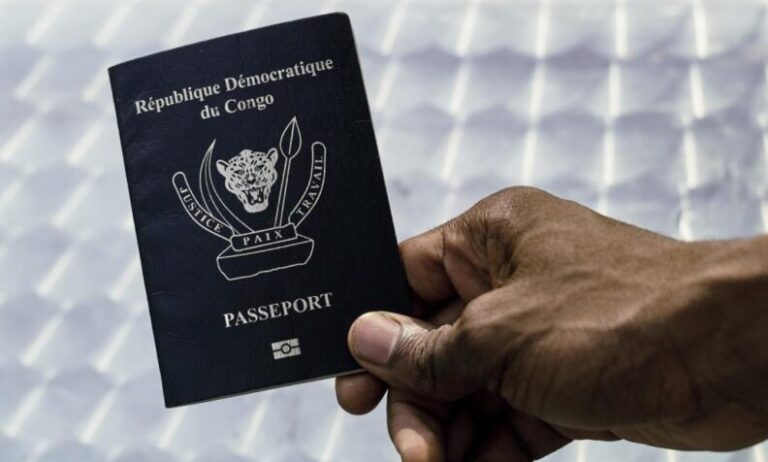 متظاهرون يضرمون النار في السفارة الفرنسية والبلجيكية في الكونغو (فيديو)