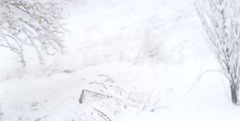 الثلوج تغطي جبل لبنان! (فيديو – صور)