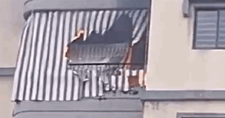 بالفيديو.. حريق داخل شقة في أبي سمراء