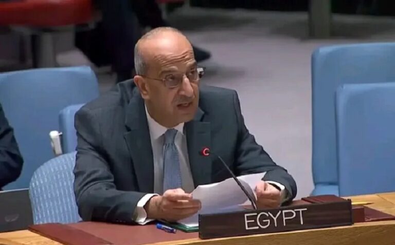 مندوب مصر في الأمم المتحدة: “إسرائيل” تهدف إلى تصفية القضية الفلسطينية