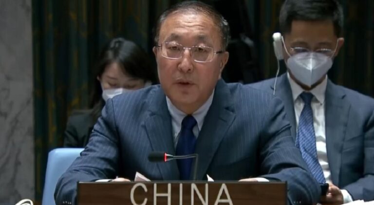 مندوب الصين بمجلس الأمن: لتجنب المعايير المزدوجة في سوريا