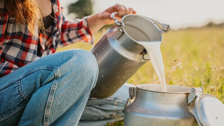 دراسة جديدة تظهر قدرة الحليب الخام على نقل فيروسات الإنفلونزا