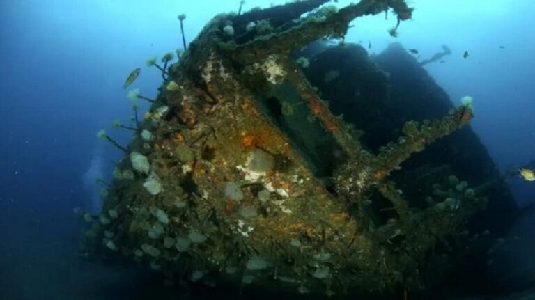 العثور على 250 سفينة غارقة تحتوي على كنوز برتغالية تاريخية