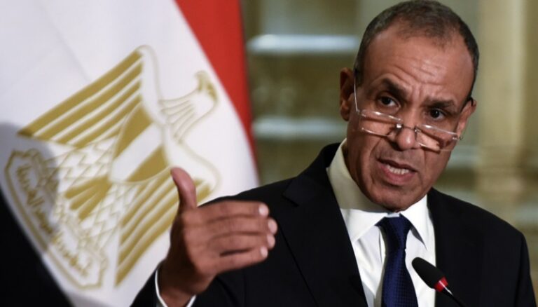 وزير الخارجية المصري في بيروت الجمعة