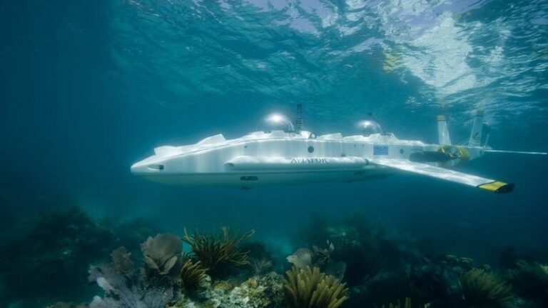 حطم الرقم القياسي لأطول مكوث تحت الماء داخل غواصة (صور)