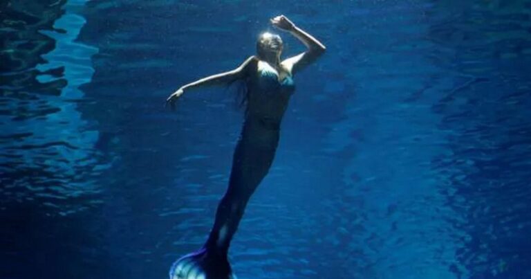 بالفيديو ـ سمكة كبيرة تهاجم “حورية البحر” في الصين!