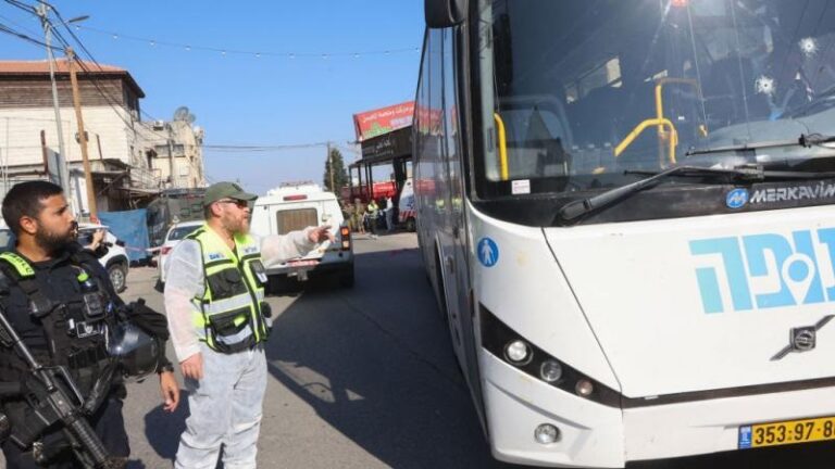 بالفيديو.. لحظة إطلاق النار شرق قلقيلية