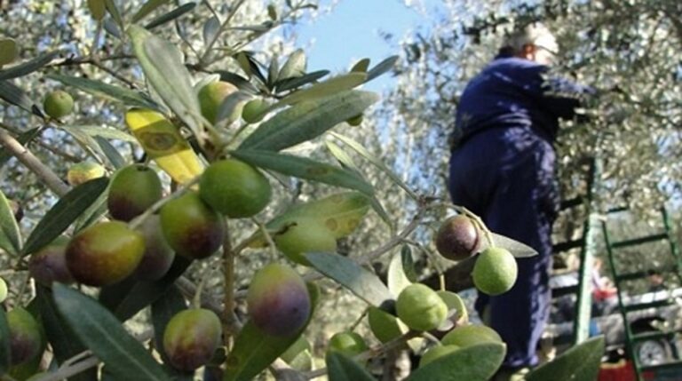 “الزيت المغلي” و”الحجارة”.. أساليب تصدي أهالي الجنوب لـ”إسرائيل”!