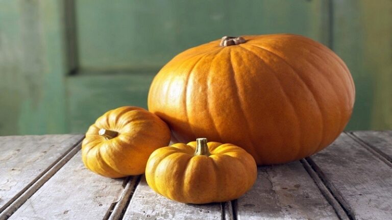 بذور اليقطين.. سر الشعر القوي!