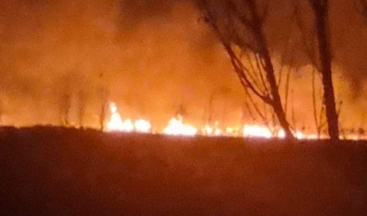 بالصور.. حريق في محمية عمّيق