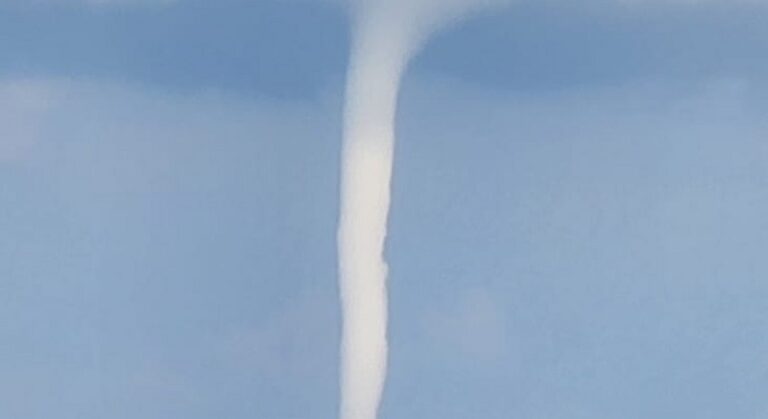 “تنين البحر” على شاطئ كبا وسلعاتا! (فيديو)