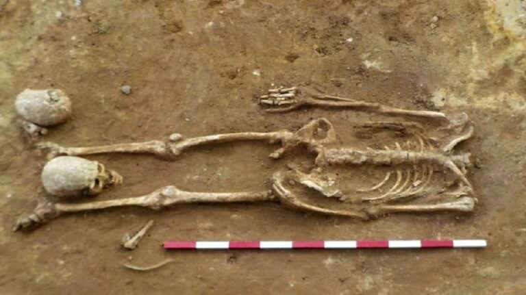 العثور على قبر “مصاص دماء”؟