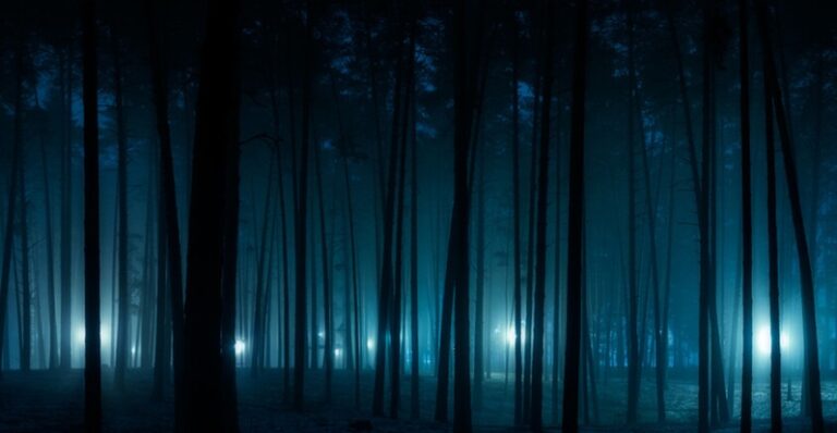 “فوانيس الأشباح”!