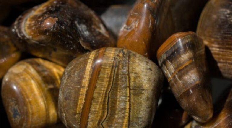 بالصور ـ أجمل مجوهرات “عين النمر”!