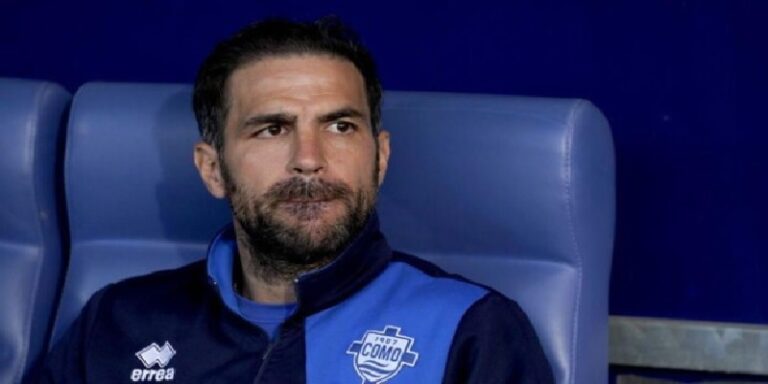 فابريغاس على رادار أندية أوروبا ومانشستر سيتي أبرز المهتمين