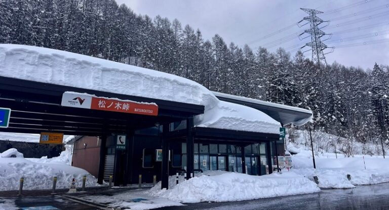 قتلى بعاصفة ثلجية قوية في اليابان (فيديو – صور)