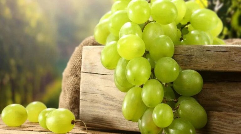 ضبط كمية من العنب والليمون المهرّب في طرابلس وبيروت