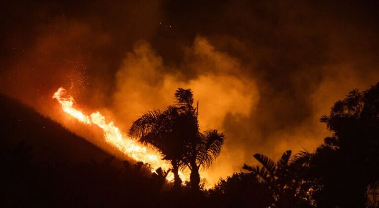 تجدد الحرائق في القدس الغربية وسط عمليات إخلاء واسعة (صور)
