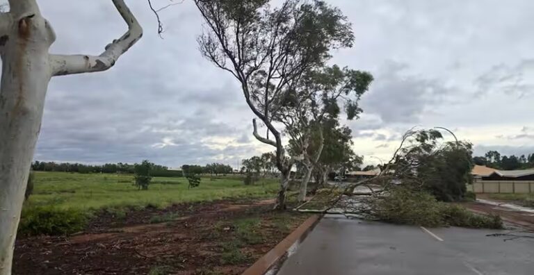 “ألفريد” يسبب دماراً واسعاً في أستراليا! (فيديو)