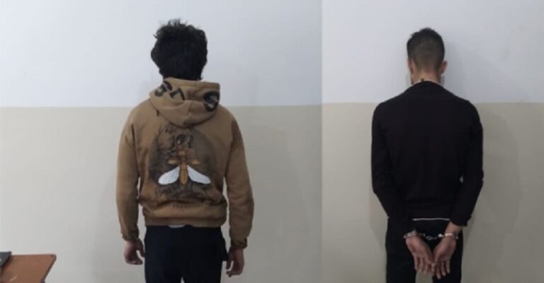 توقيف سارقَي هواتف خلوية في الجنوب