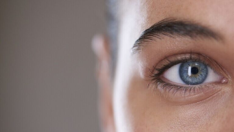 أهم الأطعمة للحفاظ على صحة العيون