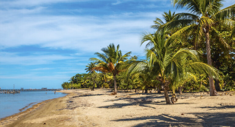 جزيرة “العيش للأبد”!