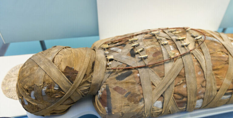 دراسة تحسم الجدل حول “السيدة الغامضة” (صورة)