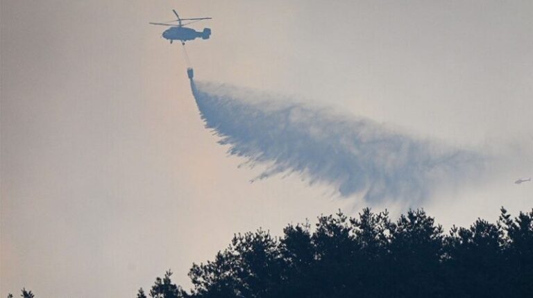 بالفيديو والصور.. حرائق تلتهم غابات كوريا الجنوبية