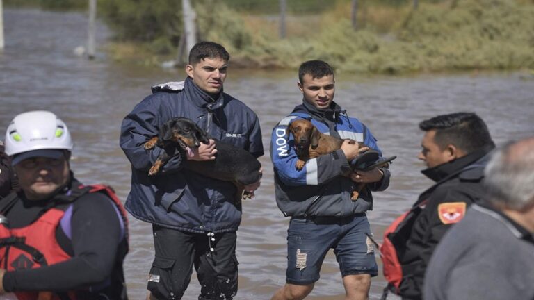 16 قتيلاً بفيضانات في الأرجنتين (فيديو)