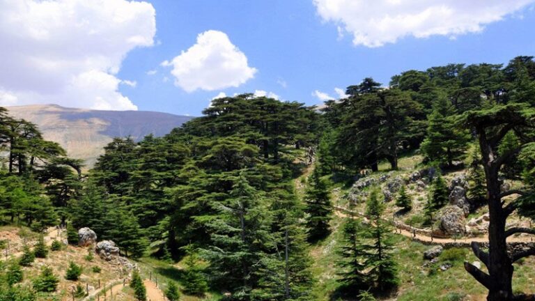 فتح أبواب المحميات الطبيعية مجانًا الإثنين