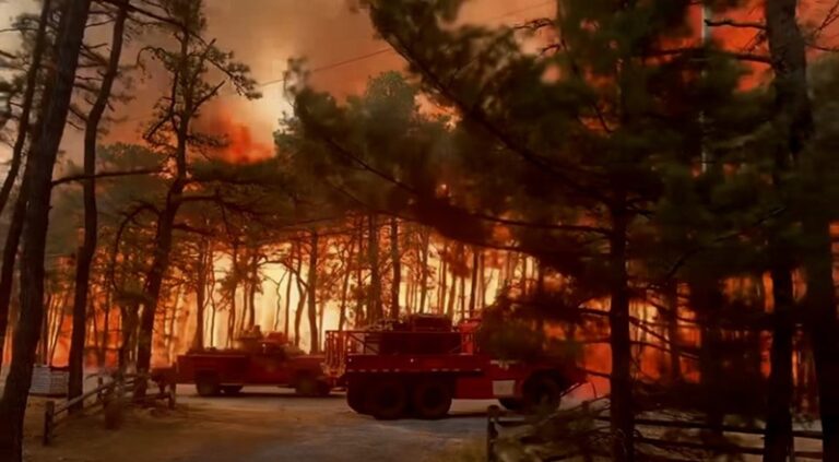 دعم دولي لتعزيز الجهوزية لمكافحة الحرائق في لبنان