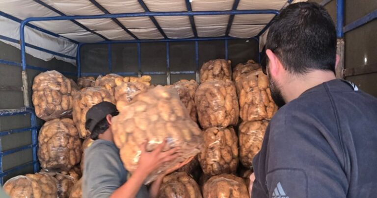 مصادرة 17 طناً من الفواكه المهرّبة وتسليمها للجيش