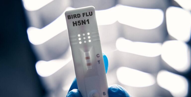 أول إصابة بشرية بإنفلونزا الطيور في المكسيك