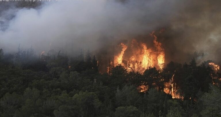 محافظ بيروت: لمعالجة حرائق أرض وجلول ومعاقبة المجرمين