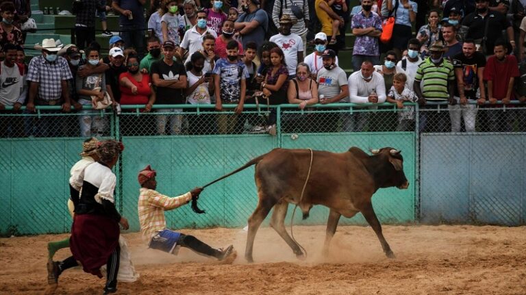 ثور هائج يقتحم مهرجاناً في أسبانيا! (فيديو)